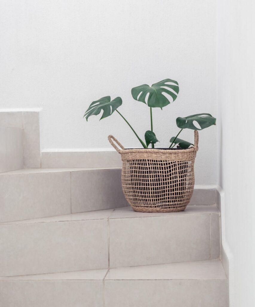 Minimal Basket
