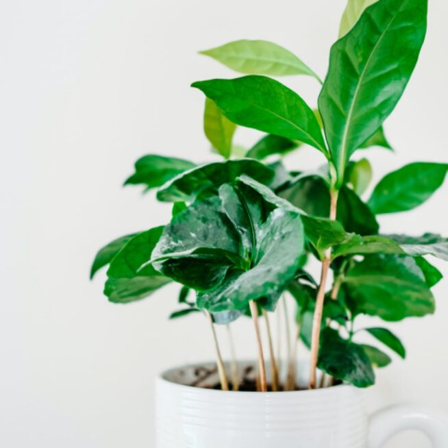 Ceramic Cup - Image 2