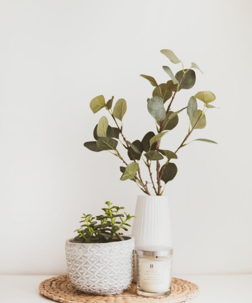 Ceramic Cup