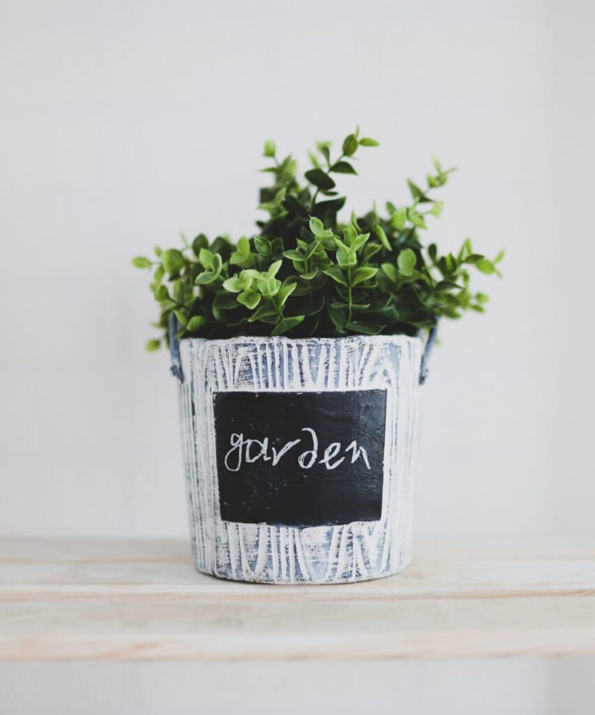 Ceramic Cup